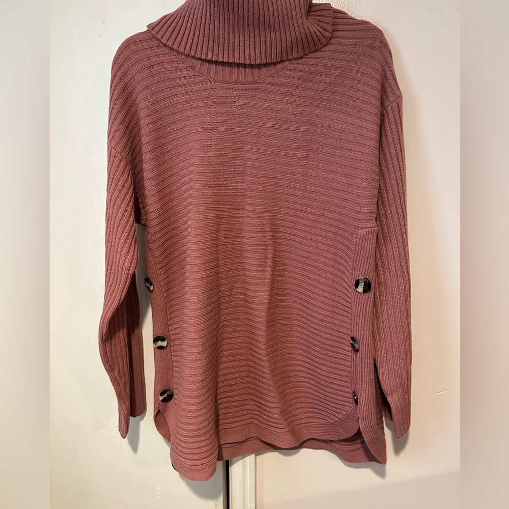 NWT Hastings & Smith Turtleneck Sweater